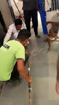 न्यायालय में घुस गया सांप, मच गया हडक़म्प