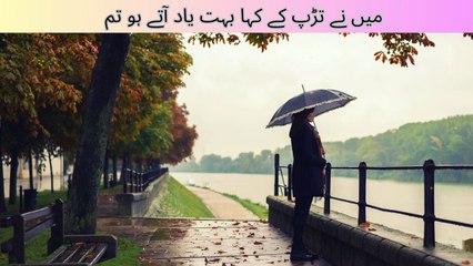 Sad Poetry Status in urdu | sad  quotes urdu | #sad #poetry #status