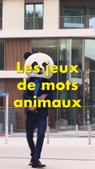 Jeu de mots des animaux !