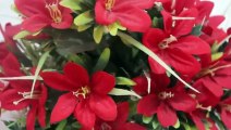 বাংলা চটি গল্প 50 | Reviews of advanced varieties flowers trees@Alisha