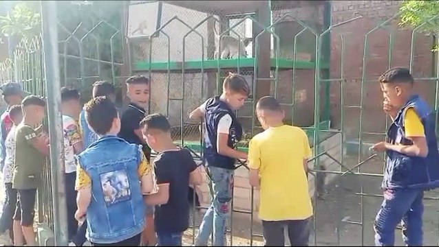 إقبال على حديقة الحيوان ببنى سويف فى رابع أيام عيد الأضحى