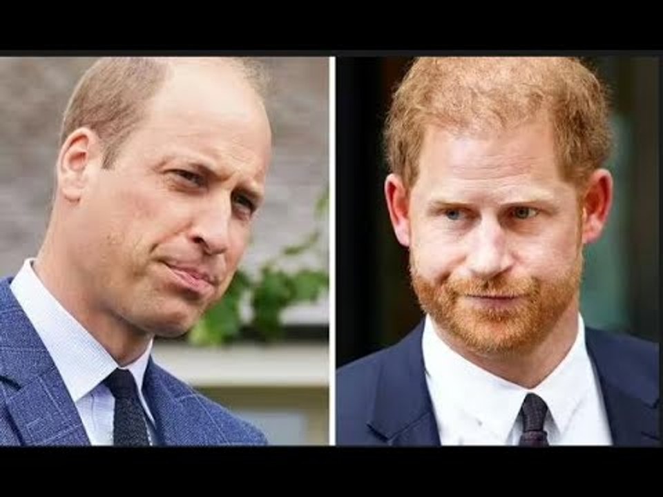 "Ça doit finir": William et Harry sont invités à enterrer la hache de guerre avec une querelle qui n
