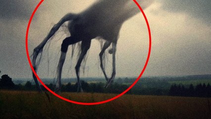 What If Earth's Oxygen Levels Rise To 50%