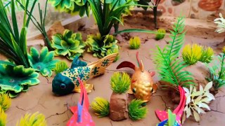 Stop Motion Fish - anday wala cartoon -  Duckling - Asmr Cooking Rainbow Koi fishing - Tiny World+Stop Motion