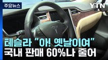 테슬라 국내 판매 -60%...