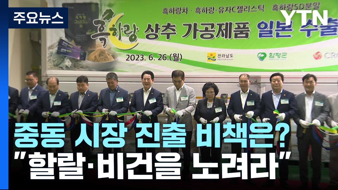 '꿀잠 상추' 가공품 일본 첫 수출...새 품종 개발로 종자 주권 확립 / YTN