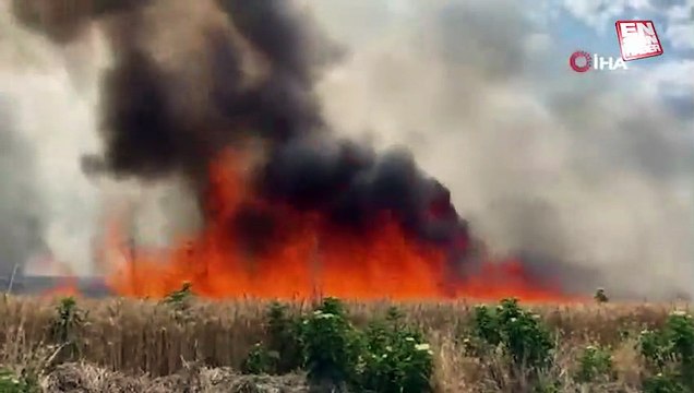 Tekirdağ'da 47 dönüm buğday tarlası 10 dakikada küle döndü