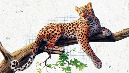 Animals Messed With Wrong Enemy