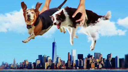 Did You Know You Can Do This