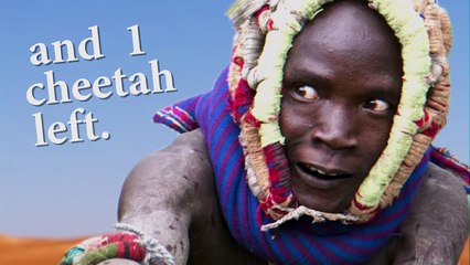 It’s Just a  Dog  for Them