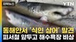 [자막뉴스] '식인 상어' 동해안 곳곳서 발견...피서철 앞두고 비상 / YTN