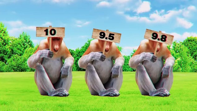 This Is What Monkeys Do When They Run Out of Bananas