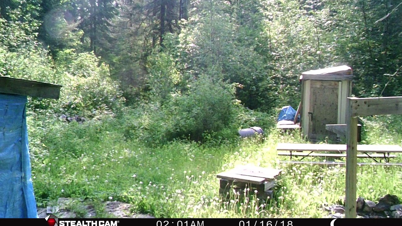 Trail Camera Photos - February  – June 2023