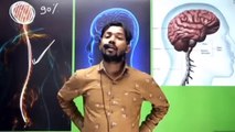 मनुष्य का दिमाग इतना तेज कैसे होता है_by khan sir_How to control our mind