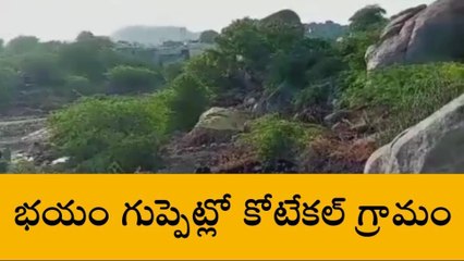 Download Video: ఎమ్మిగనూరు: రెండు రోజులుగా చిరుత సంచారం... ఆందోళనలో ప్రజలు