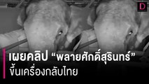 เผยคลิป “พลายศักดิ์สุรินทร์” ขึ้นเครื่องกลับไทย | HOTSHOT เดลินิวส์ 02/07/66