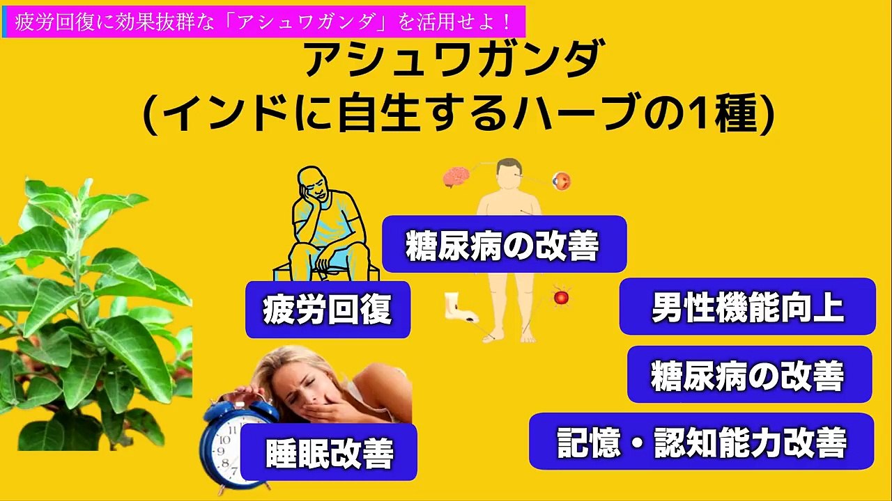 【筋トレ】その疲労は「アシュワガンダ」で改善することを、99%の人が知らない・・・