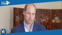 William et Harry unissent leurs forces pour l'héritage de leur maman Diana... mais pas trop quand mê
