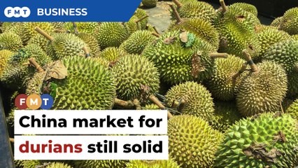 China durian market still smells good