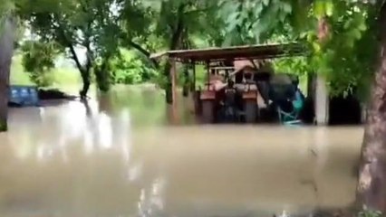 नरसिंघपुर: अभी नहीं टला खतरा, ओलावृष्टि से किसानों को भारी नुकसान ...