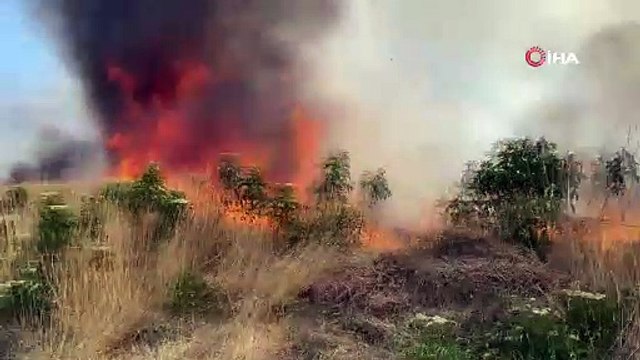 47 dönüm buğday tarlası 10 dakikada cayır cayır yandı
