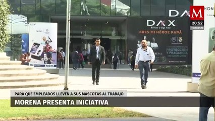 Propuesta de MORENA para promover la presencia de mascotas en los lugares de trabajo