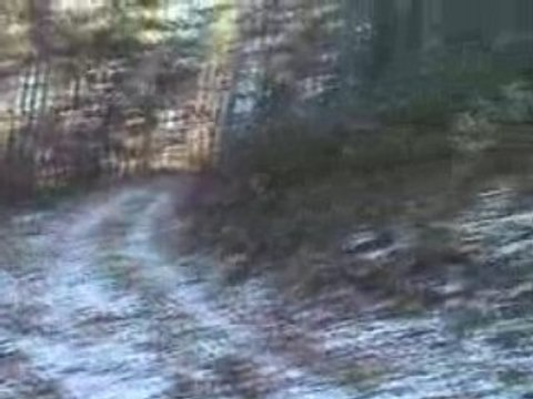 Les 3 ptits cochons à la piste du pre pendent