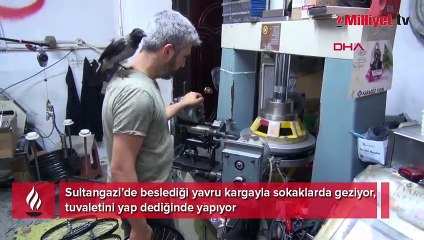 Beslediği yavru kargayla sokaklarda geziyor