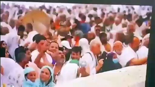 Le pèlerin, qui s'extasiait en lapidant le diable, déclara la guerre au diable avec son bâton.