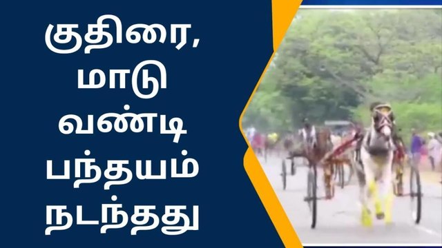 ராம்நாடு:மாட்டு வண்டி,குதிரை வண்டி பந்தயத்தை ரசித்த பார்வையாளர்கள்