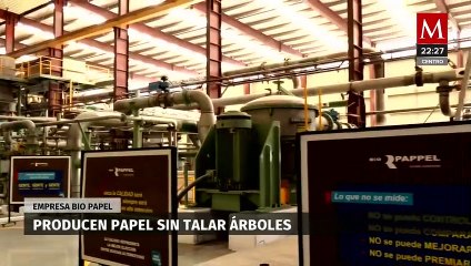 Bio Pappel revoluciona la producción de papel: Elige el reciclado en lugar de los árboles