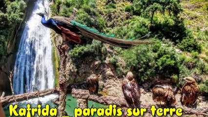 Les cascades de Kefrida _Paradis sur Terre ⛱    جنة فوق الارض_ شلالات كفريدة