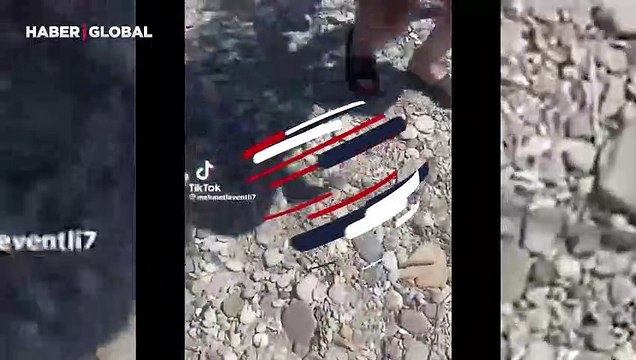 Şaşırtan anlar: Yaban domuzu ile karşılaşan tatilci onu elleri ile besledi