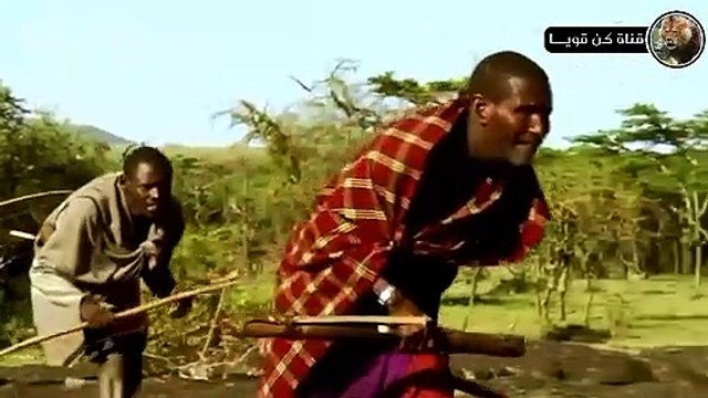 أروع المعارك بين الحيوانات البرية وصراع البقاء في عالم الحيوان