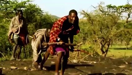 أسد الماساي  صراع الأسود والحيوانات المفترسة