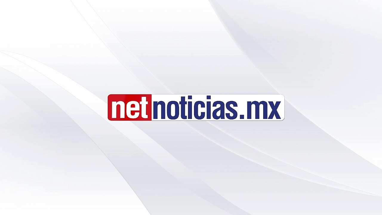 Top Net 4 de julio 2023