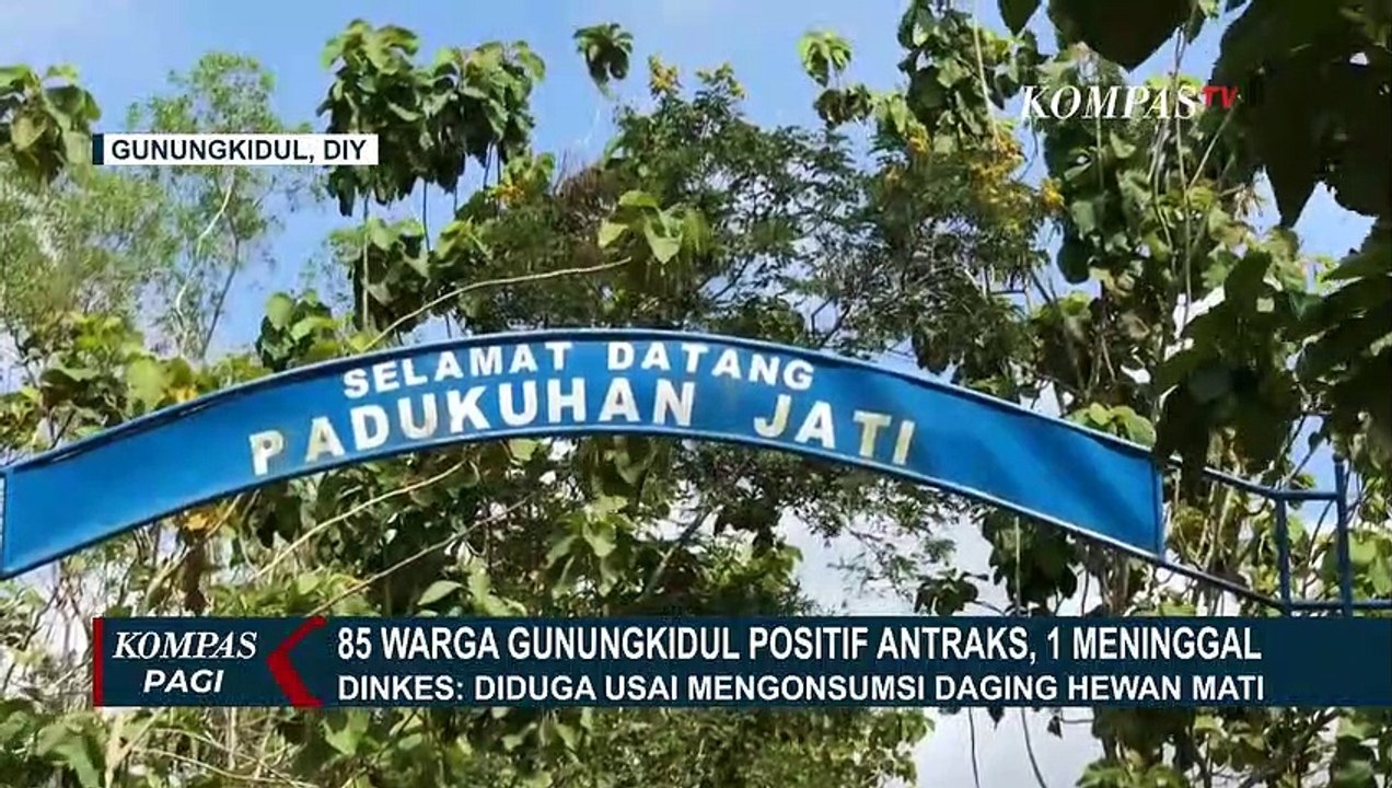 85 Warga Gunungkidul Poisitif Antraks, Diduga Konsumsi Hewan Ternak yang Mati Karena Sakit