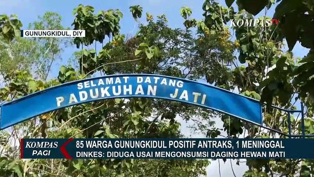 85 Warga Gunungkidul Poisitif Antraks, Diduga Konsumsi Hewan Ternak yang Mati Karena Sakit