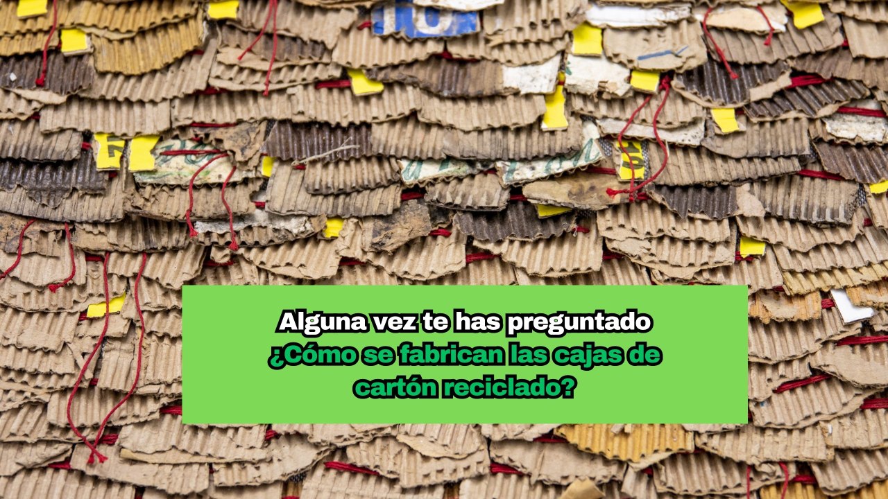 ¿Cómo se fabrican las cajas de cartón reciclado?
