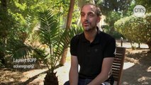 Puits de carbone, une chance pour le climat | Documentaire CNRS