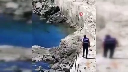 Dağ keçileri Karakaya Barajı kıyısında mahsur kaldı