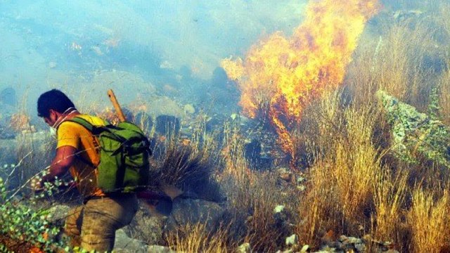 Makilik alanda yangın çıktı, alevler evleri tehdit etti