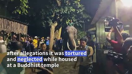 Neglected elephant returns home to Thailand after alleged abuse in Sri Lanka