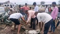 Villagers saved the black buck straying from forest from dog attack