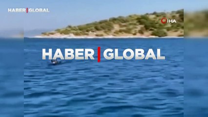 Bodrum denizinde bir anda ortaya çıktılar, gören kameraya sarıldı!