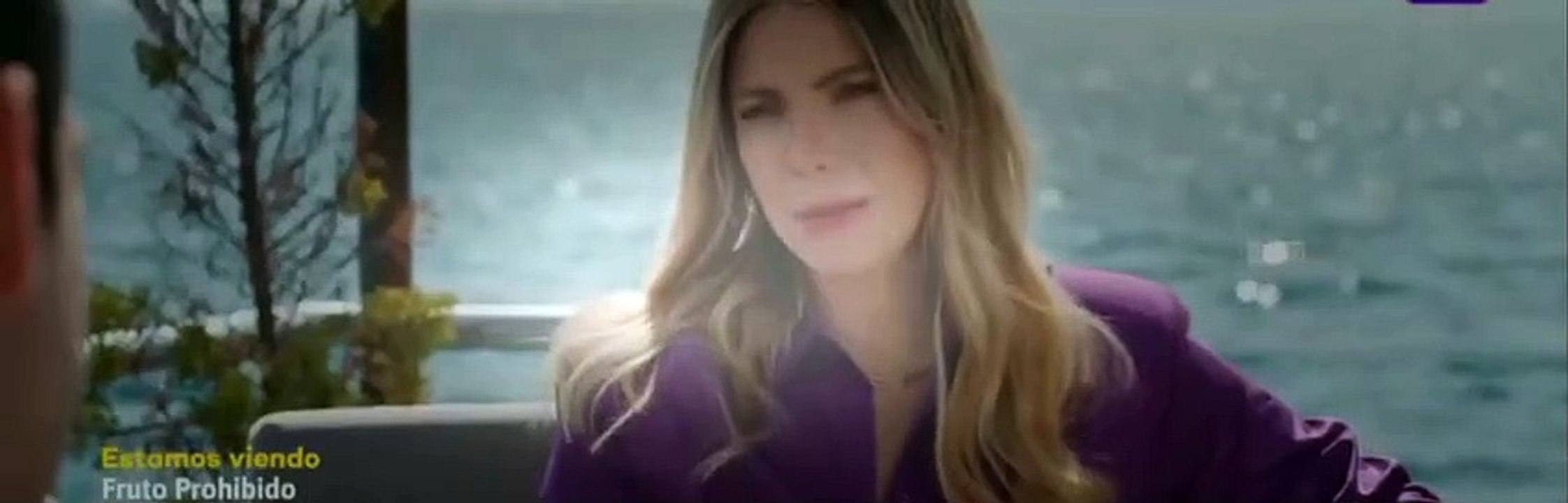 Fruto Prohibido Capitulo 440 - Fruto Prohibido Capitulo 440