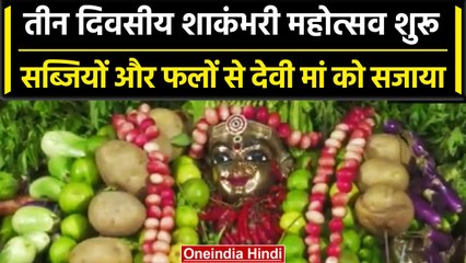 Shakambari Festival: AP के कनकदुर्गा मंदिर में महोत्सव, देखें पहला श्रृंगार | वनइंडिया हिंदी #Shorts