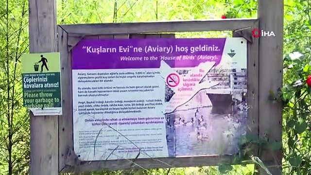 İzmir Doğal Yaşam Parkı'nda Göçmen Kuşlar