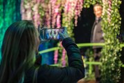 Claude Monet: the Immersive Experience opens in Belfast