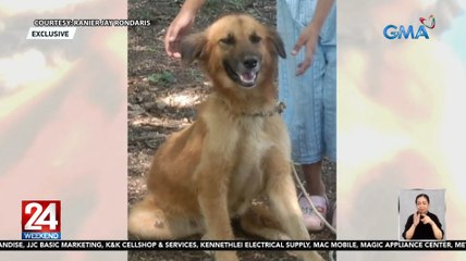 24 Oras Weekend Part 2: Asong naligaw kinatay, Barbie sa It's Showtime, gurong hataw sa Recognition Day, atbp.